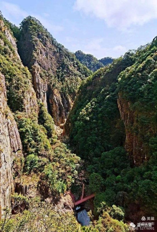 公主的阅读区